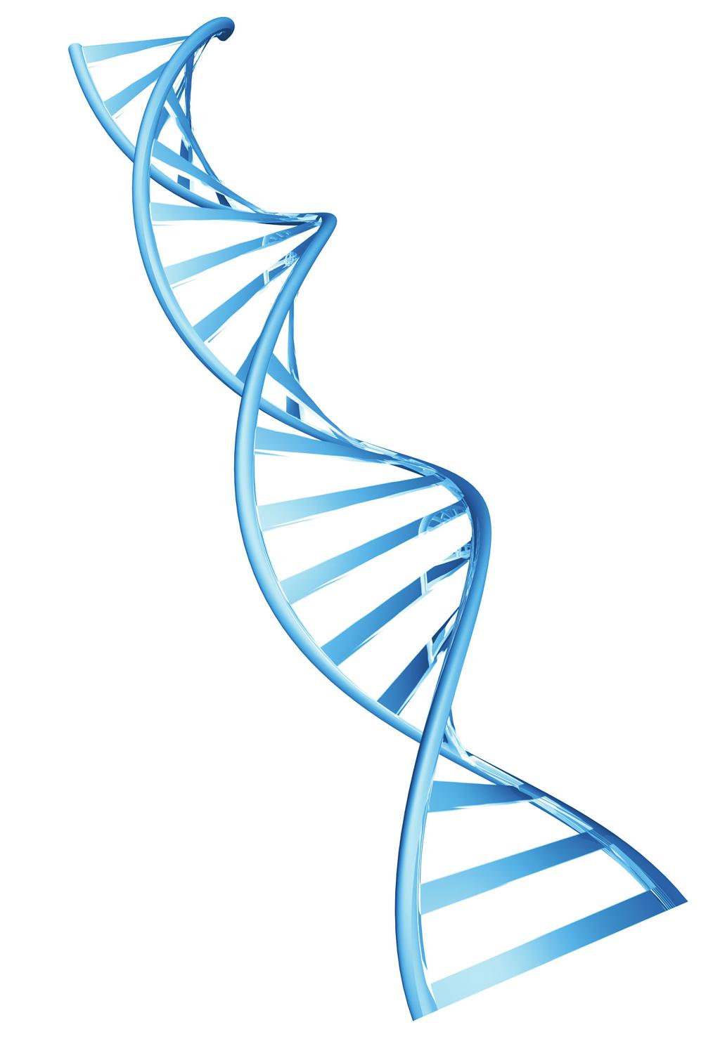 DNA: The Blueprint of Life